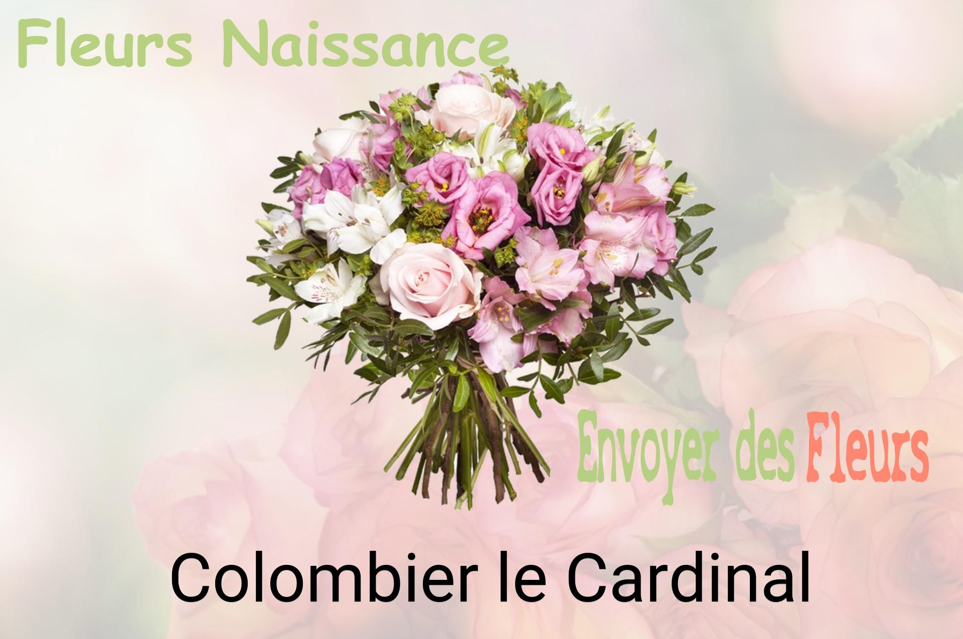 Bouquet de fleurs de naissance livré à Colombier-le-Cardinal